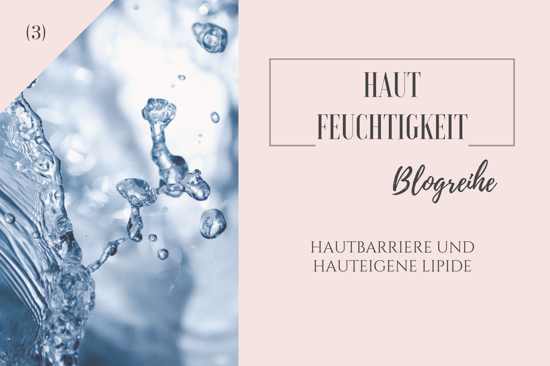HAUTBARRIERE UND HAUTEIGENE LIPIDE