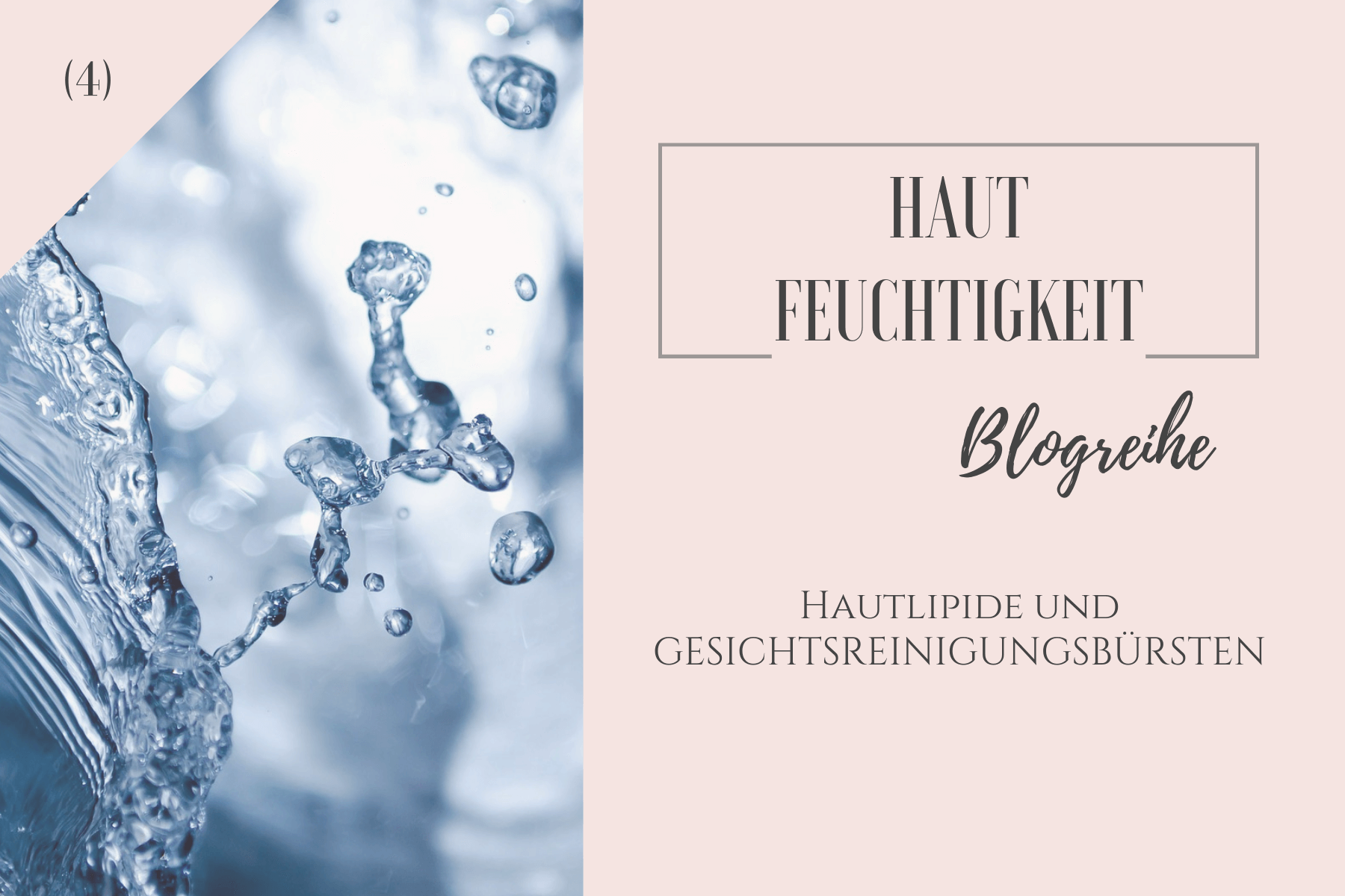 GESICHTSREINIGUNGSBÜRSTEN (1)