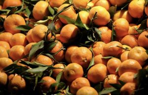 beste Vitamin C Seren